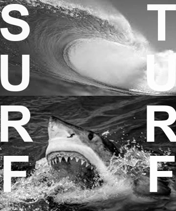 Stugazi at Boo-Hooray Summer Rental