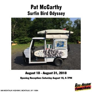 Pat McCarthy - Surfin Bird Odyssey