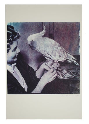 Item #5984 Pretty Polly (purple). Gee Vaucher