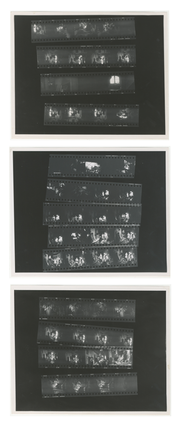 Six Photographs of Brassieres of Atlantis [with] Contact Sheets