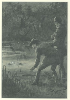 Original illustrations